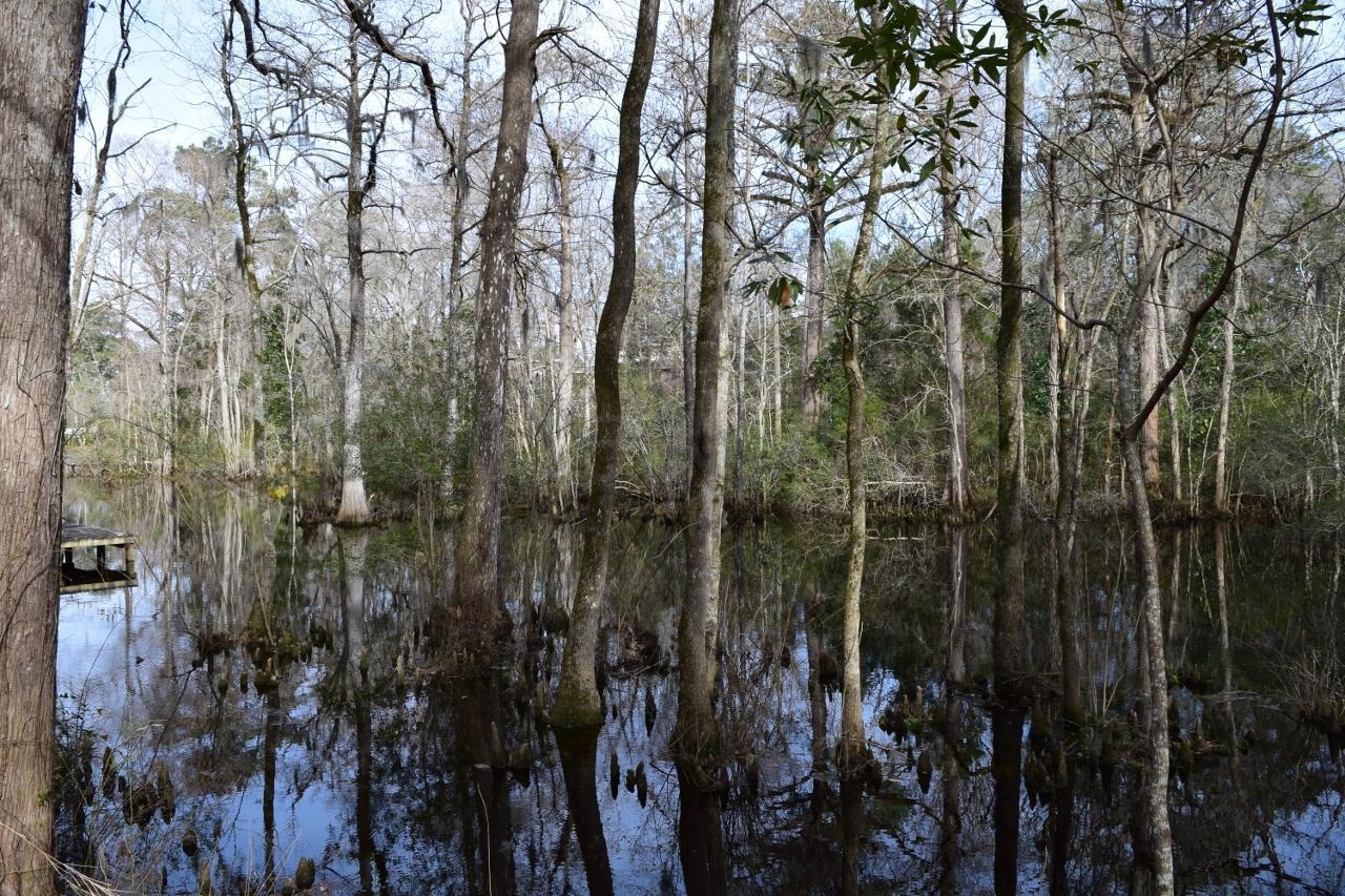 1998 Hoods Creek Road New Bern, NC 28562 - Photo 2 of 22 Hoods Creek