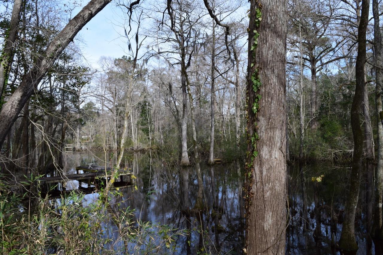 1998 Hoods Creek Road New Bern, NC 28562 - Photo 22 of 22 Bring Your Kayak!