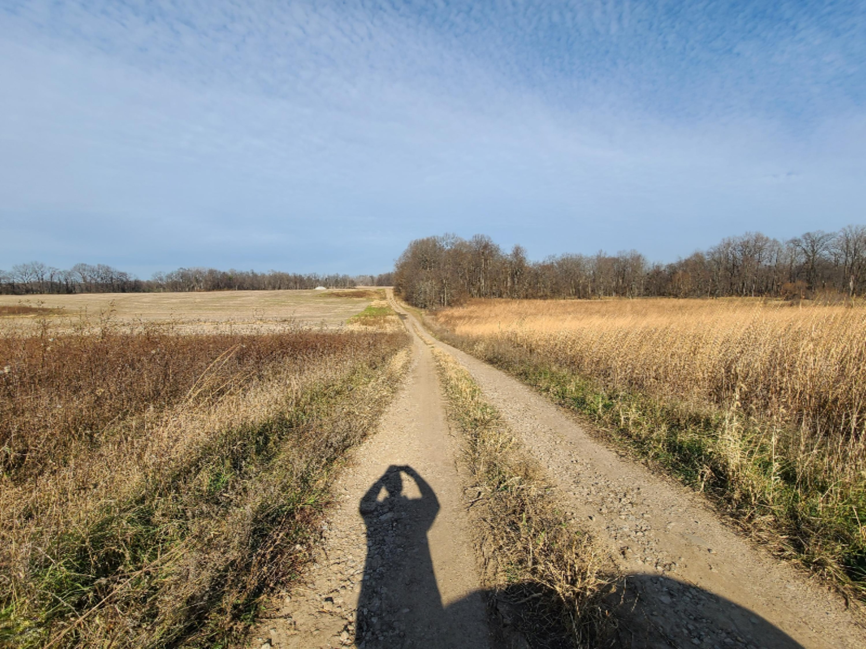 East Glendora Road Buchanan, MI 49107 - Photo 1 of 6 20201120_121725
