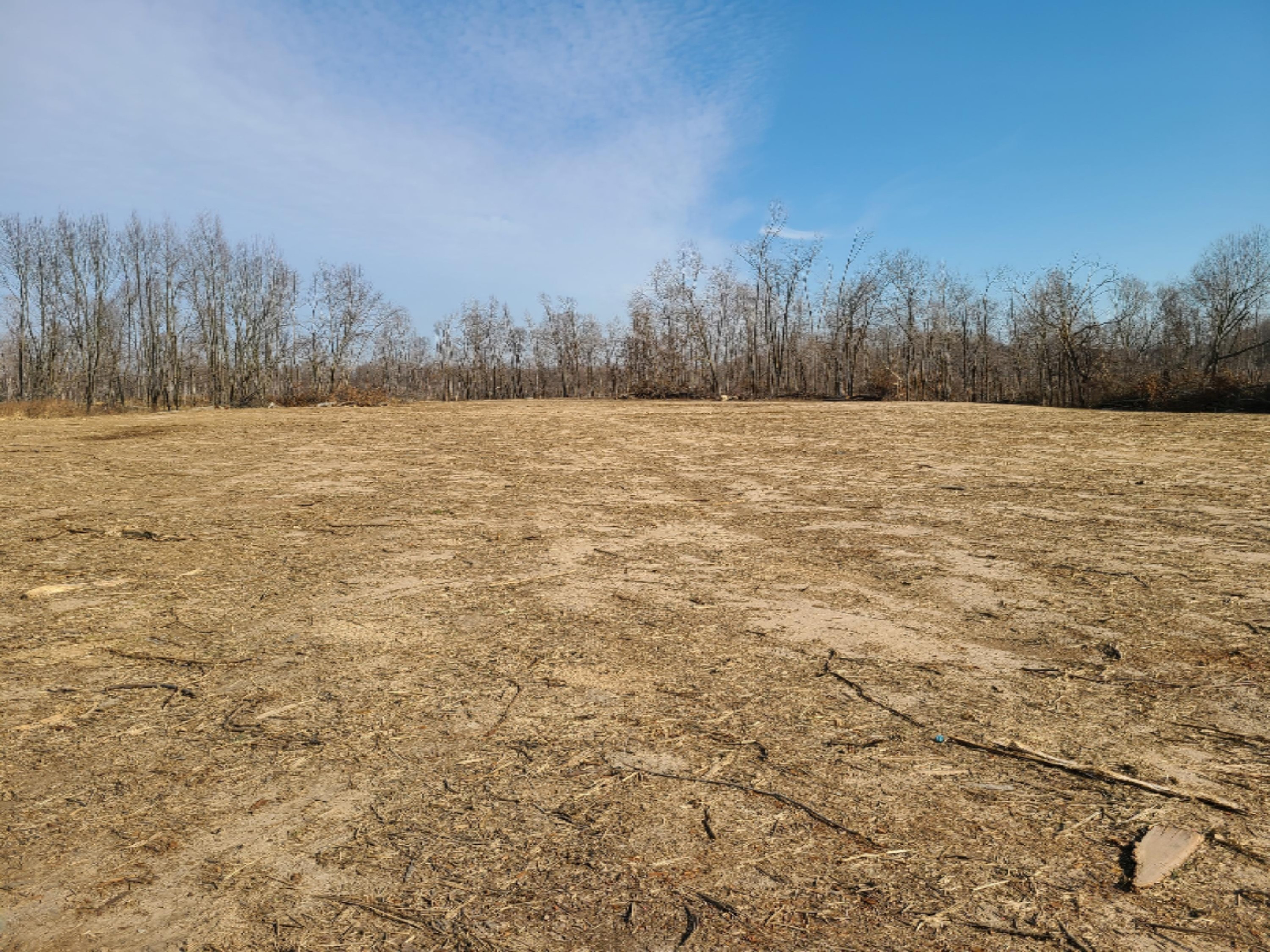 East Glendora Road Buchanan, MI 49107 - Photo 3 of 6 20201120_122027