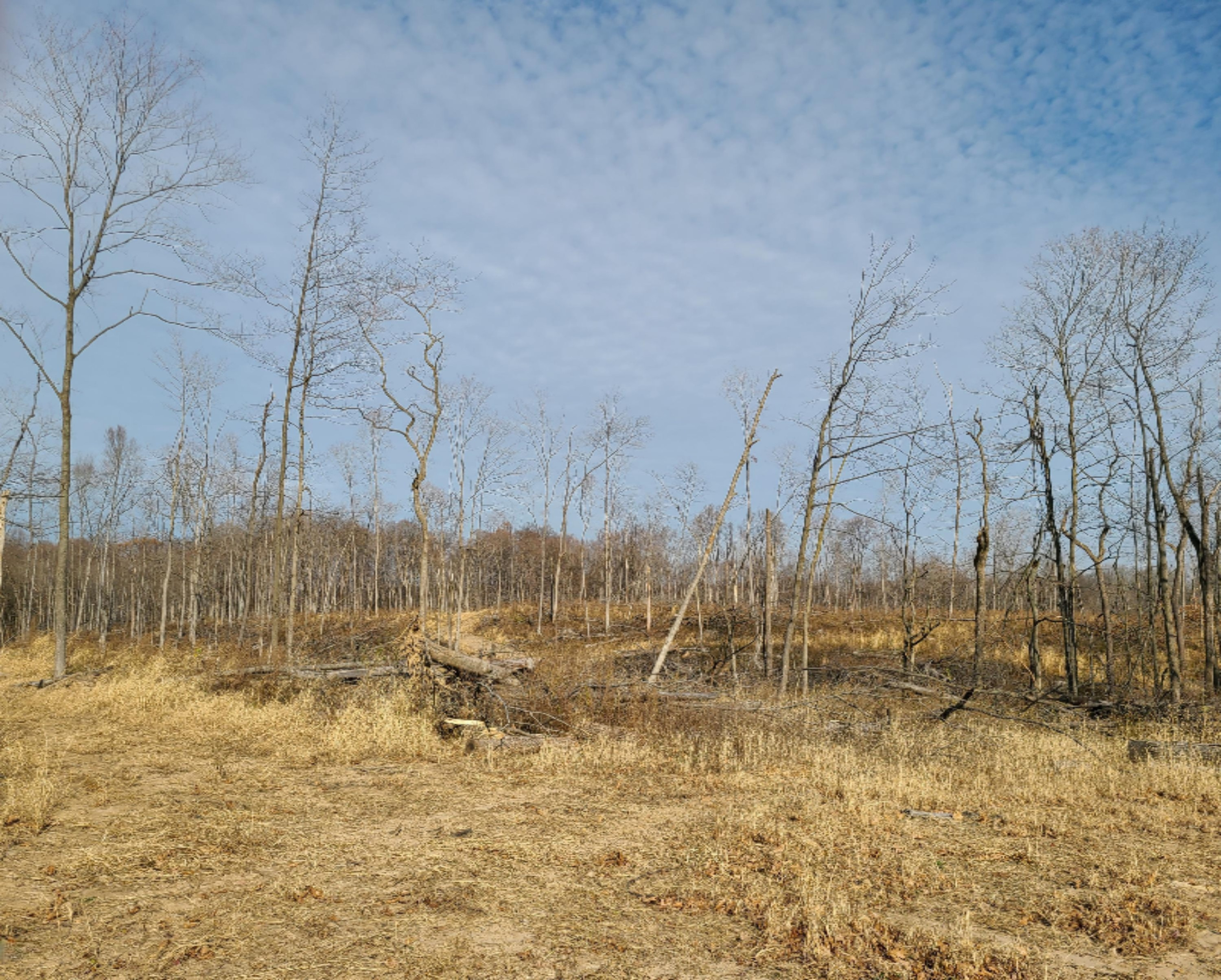 East Glendora Road Buchanan, MI 49107 - Photo 5 of 6 20201120_143552