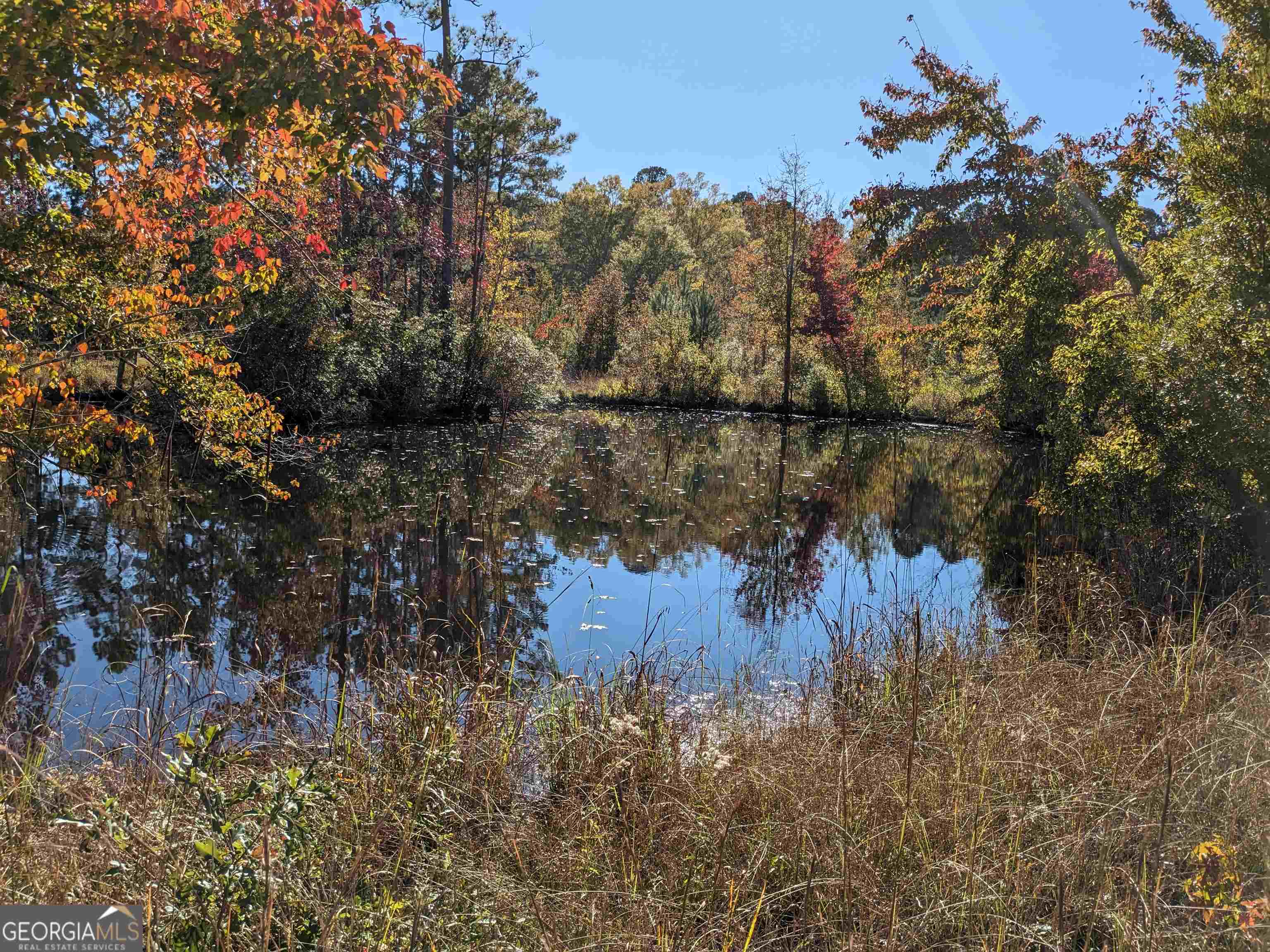 0 River Road Wadley, GA 30477 - Photo 1 of 1 Gallery Image 1