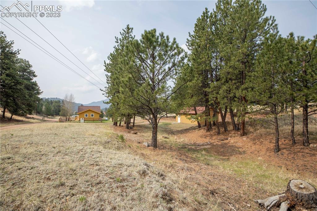 93 Water Street Guffey, CO 80820 - Photo 15 of 23 a view of outdoor space with trees
