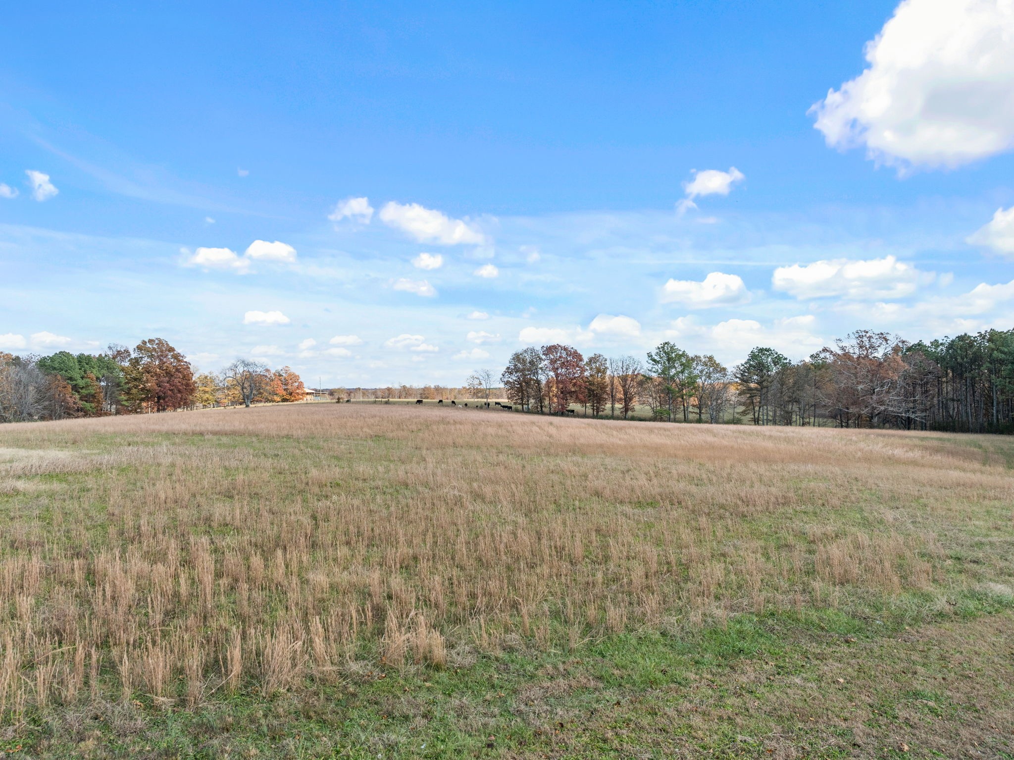 9680 Buttermilk Ridge Road Lawrenceburg, TN 38464 - Photo 32 of 61 a view of an ocean and beach