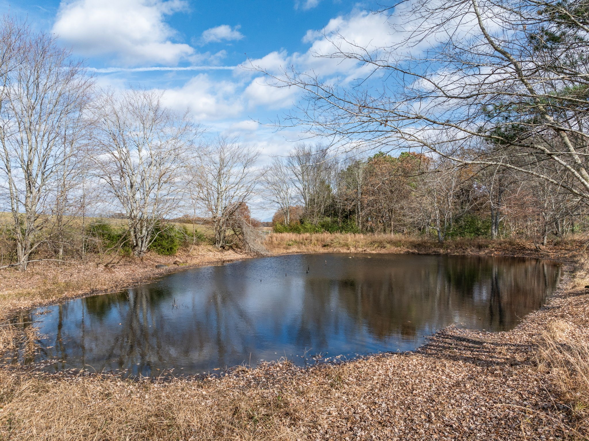 9680 Buttermilk Ridge Road Lawrenceburg, TN 38464 - Photo 6 of 61 a view of a lake with a yard