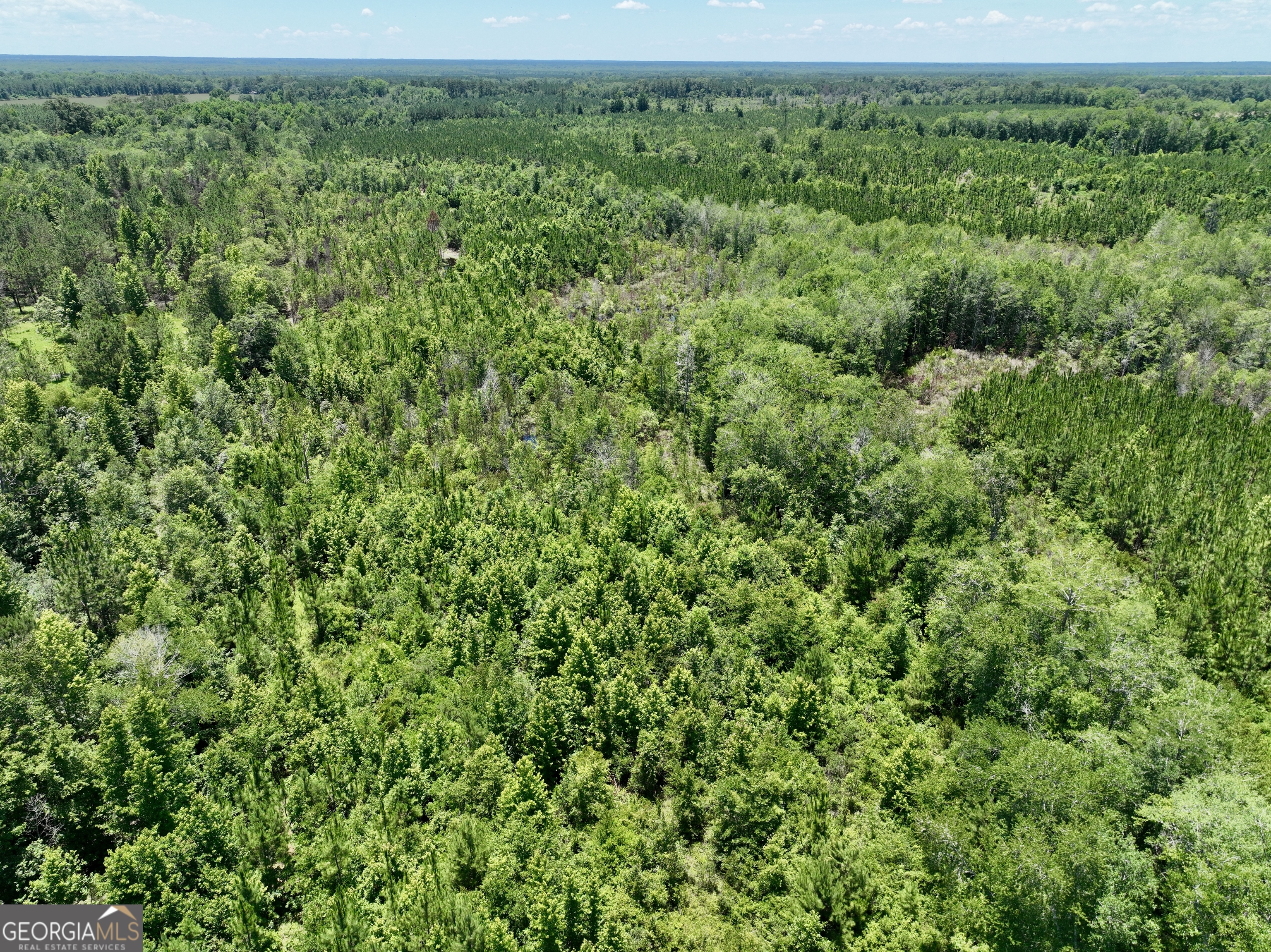 0 West River Road Rhine, GA 31077 - Photo 22 of 31