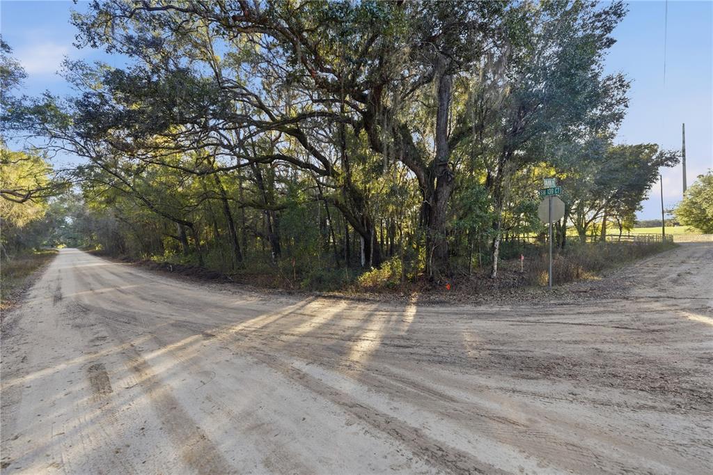Southwest 139th Court Dunnellon, FL 34432 - Photo 13 of 13 a view of a yard with a tree
