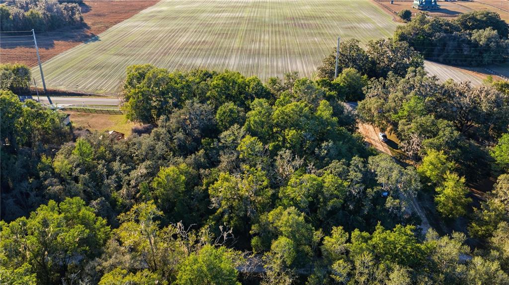 Southwest 139th Court Dunnellon, FL 34432 - Photo 3 of 13