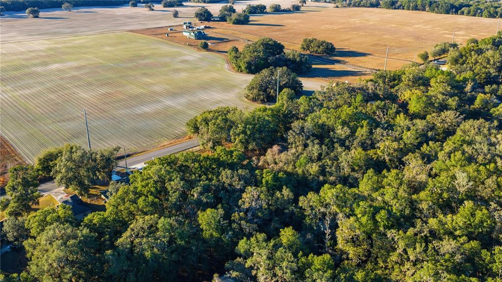 Southwest 139th Court Dunnellon, FL 34432 - Photo 5 of 13 a view of a lake view