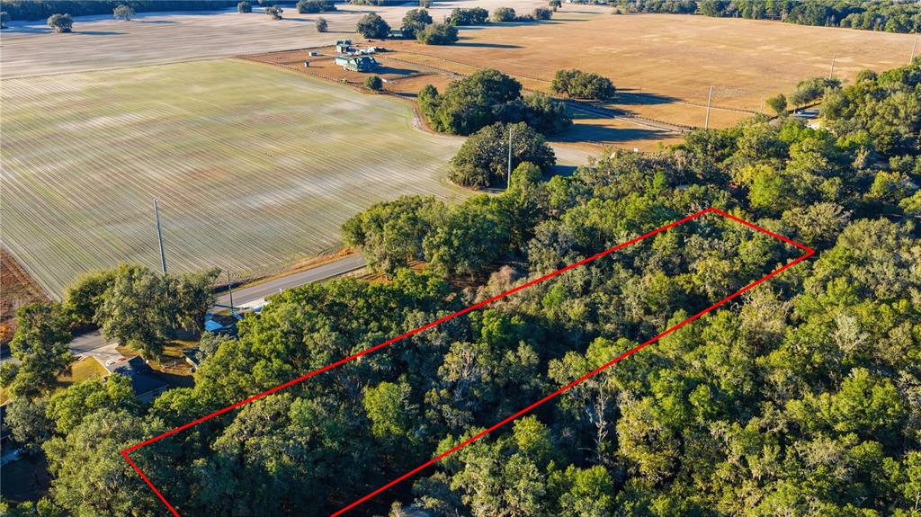 Southwest 139th Court Dunnellon, FL 34432 - Photo 6 of 13 a view of a backyard of the house