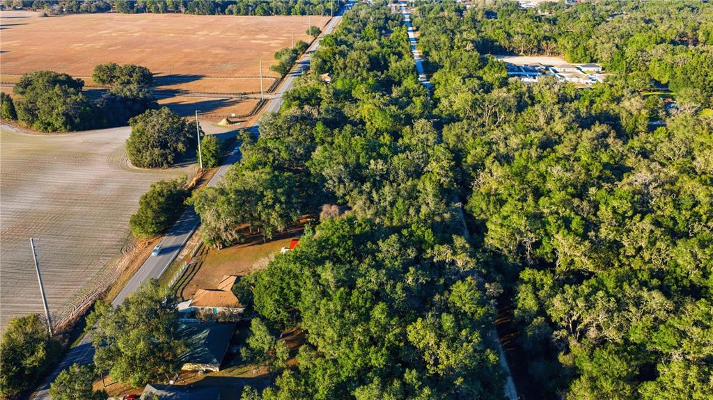 Southwest 139th Court Dunnellon, FL 34432 - Photo 7 of 13 a view of a yard with plants and a bench