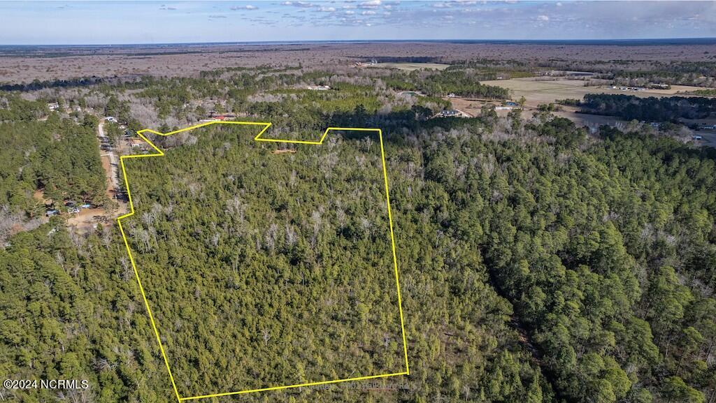 0 Hallsboro Road South Whiteville, NC 28472 - Photo 5 of 27 5