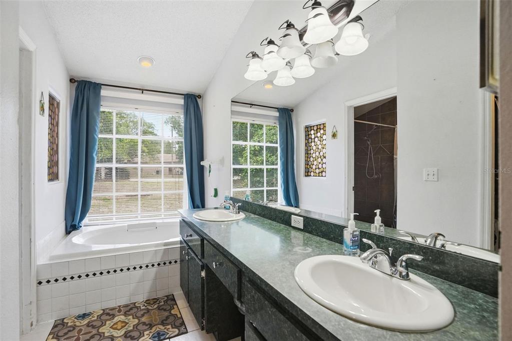4219 Newton Road Spring Hill, FL 34606 - Photo 21 of 35 a bathroom with a granite countertop sink a large mirror a bathtub and next to a window