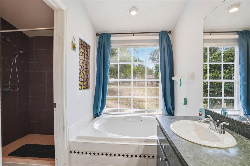4219 Newton Road Spring Hill, FL 34606 - Photo 22 of 35 a bathroom with a granite countertop sink a bathtub and next to a window