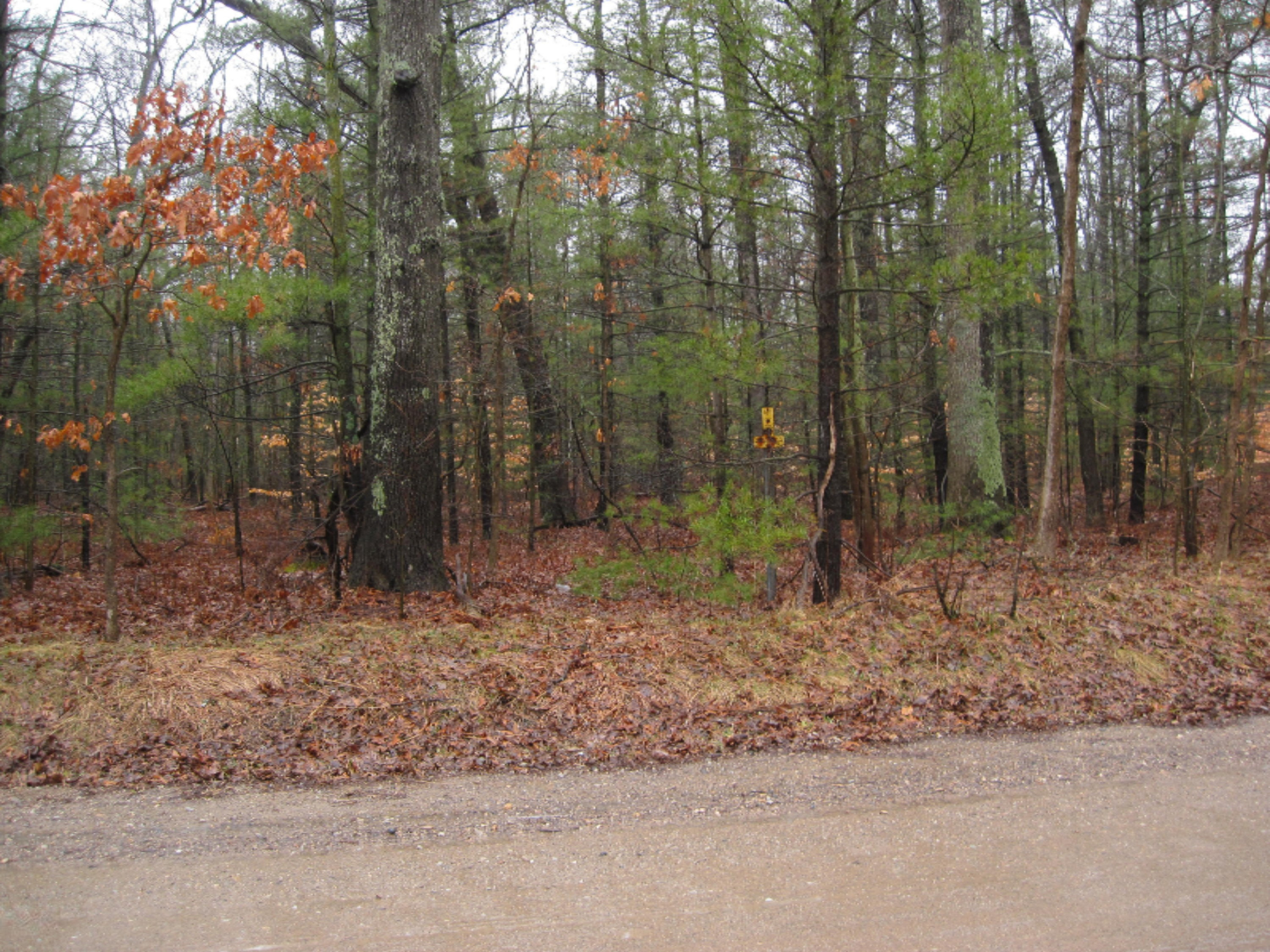 0 West Michillinda Road Whitehall, MI 49461 - Photo 1 of 1 IMG_1437