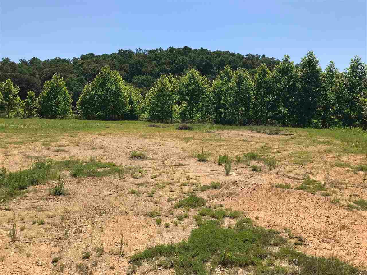 4330 Hewlet Road Fort Gay, WV 25514 - Photo 2 of 14 Gallery Image 2