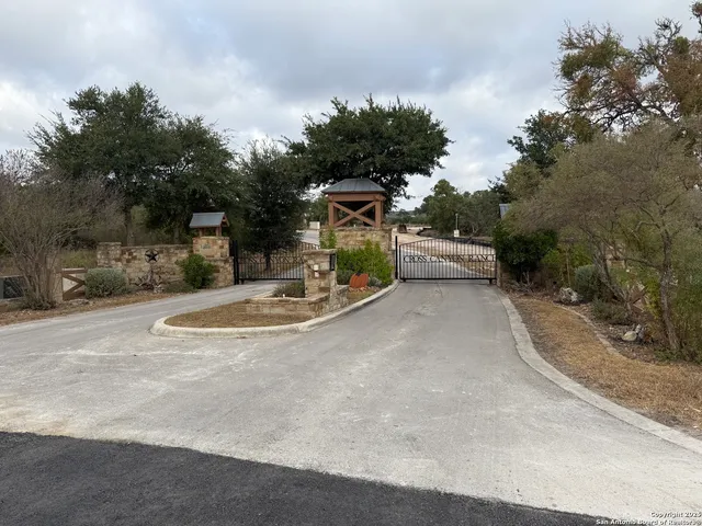 a view of a park with large trees