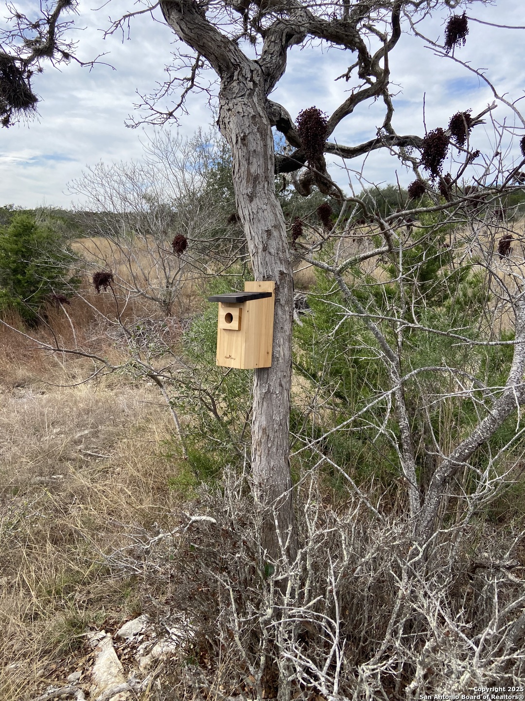 1629 Canyon Spring Branch, TX 78070 - Photo 12 of 14 a aerial view of a house with a yard