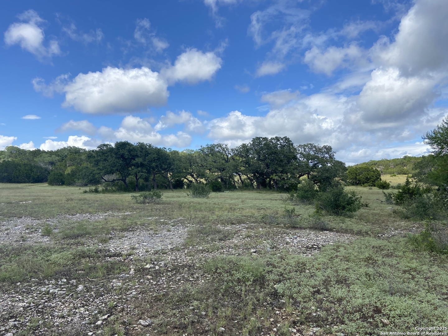 1629 Canyon Spring Branch, TX 78070 - Photo 13 of 14 a view of outdoor space and green space