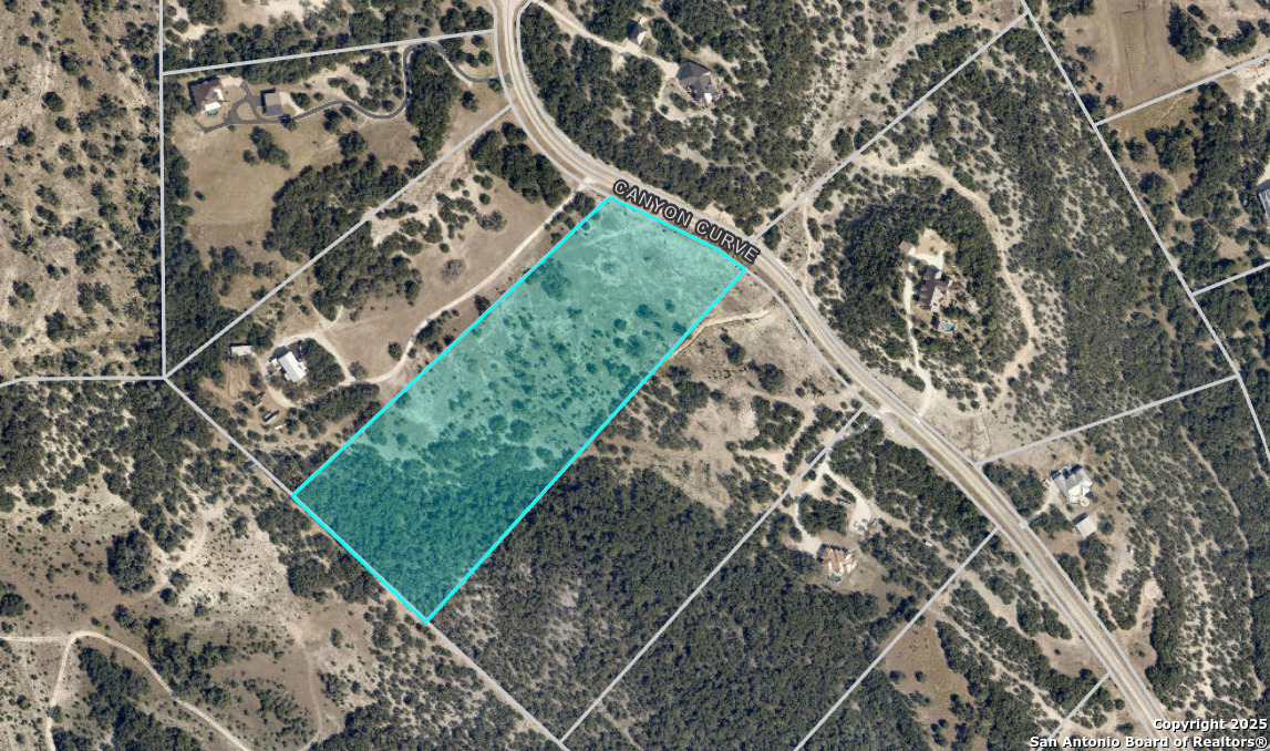 1629 Canyon Spring Branch, TX 78070 - Photo 14 of 14 a view of a yard with a trees