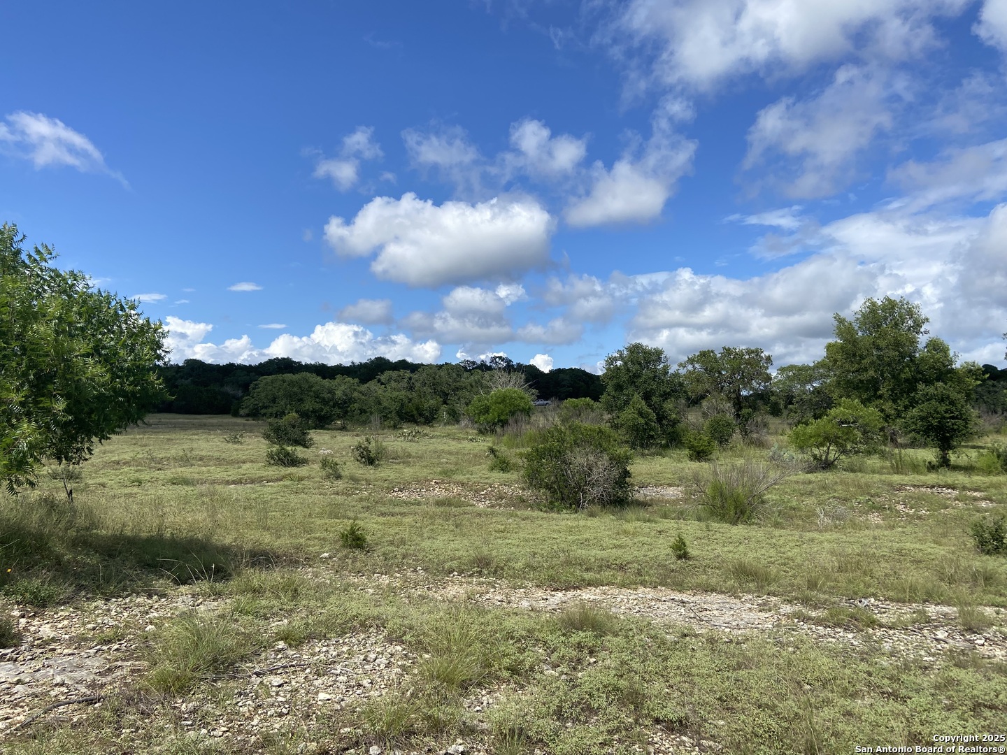 1629 Canyon Spring Branch, TX 78070 - Photo 2 of 14 a view of a lake from a yard