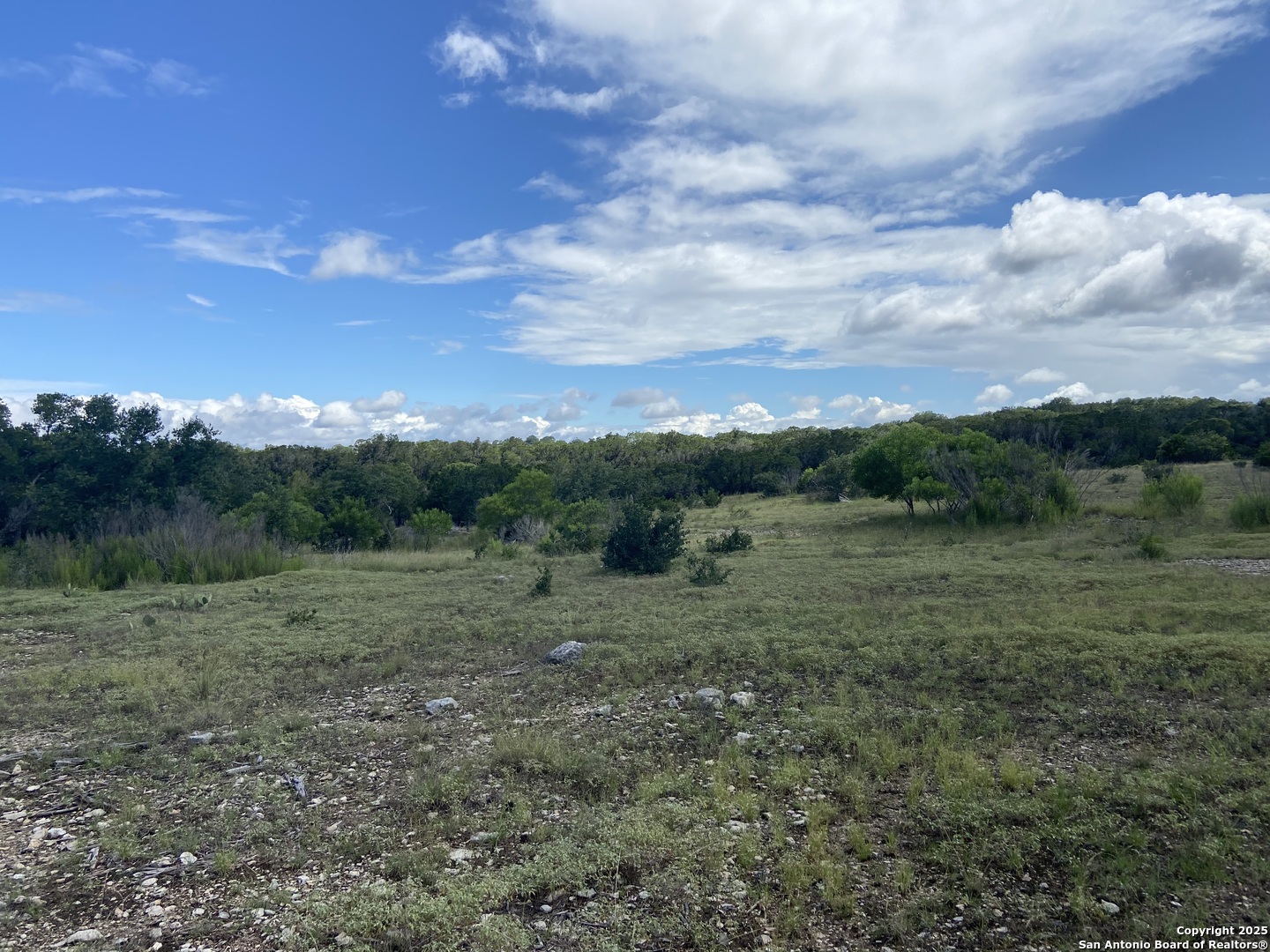 1629 Canyon Spring Branch, TX 78070 - Photo 3 of 14 a view of an outdoor space with green field and trees