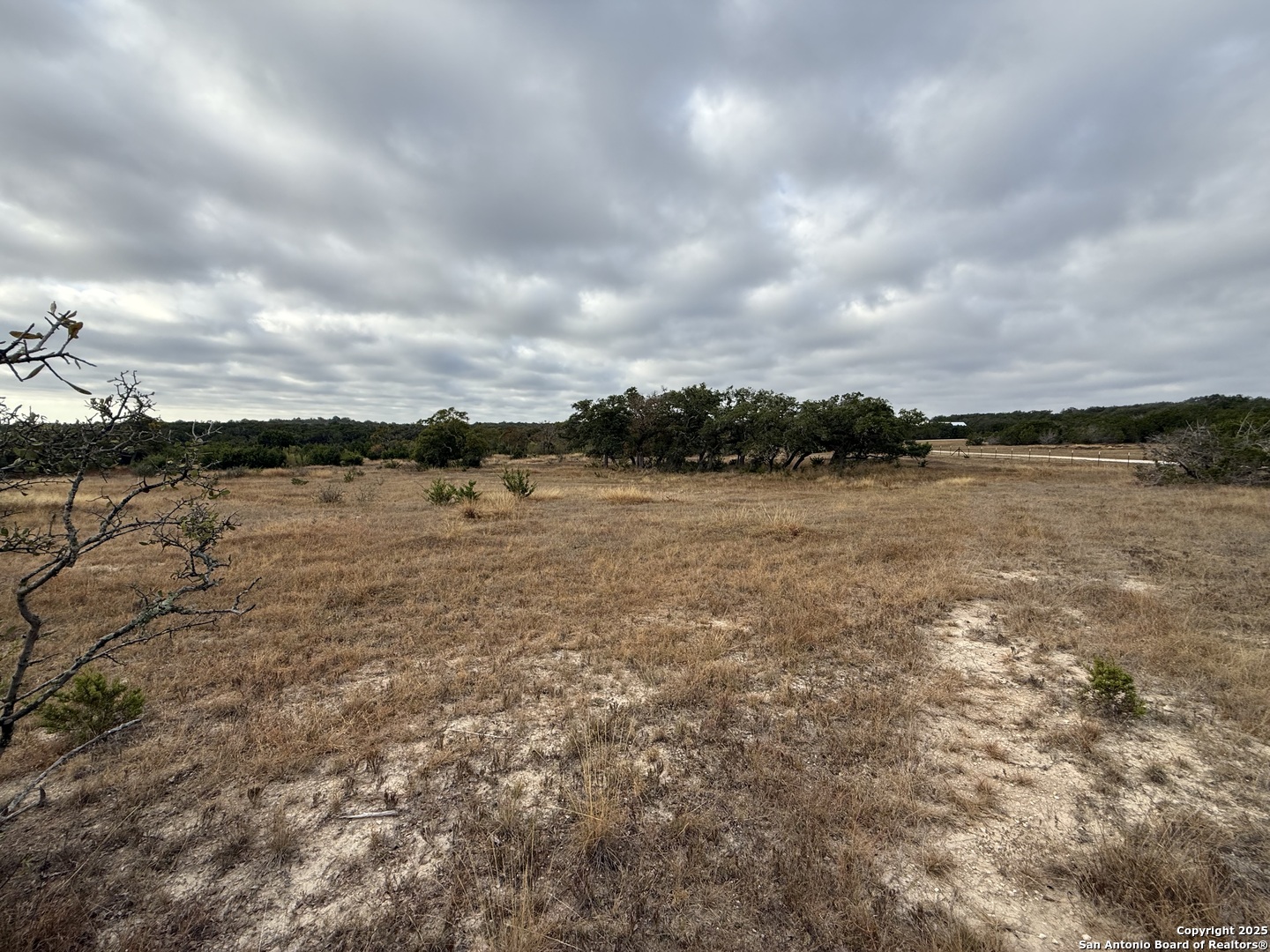 1629 Canyon Spring Branch, TX 78070 - Photo 4 of 14 a view of a lake with houses in the back