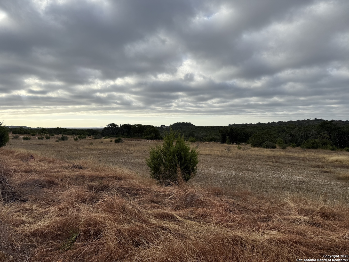 1629 Canyon Spring Branch, TX 78070 - Photo 9 of 14 a view of a lake with mountain in the back