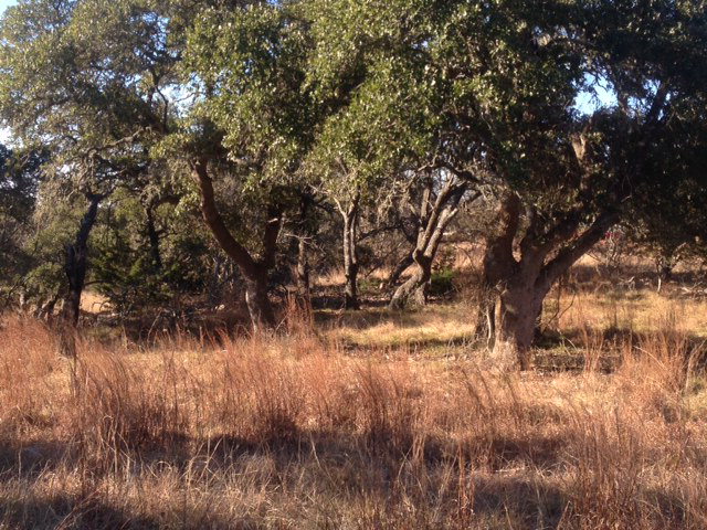 507 Alamo Road, Unit 7B Fredericksburg, TX 78624 - Photo 1 of 1 Main View