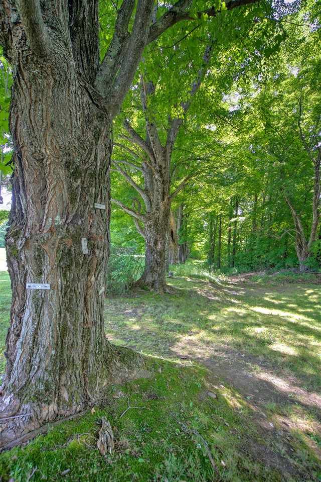 285 Ashley Road Barnard, VT 05068 - Photo 7 of 31
