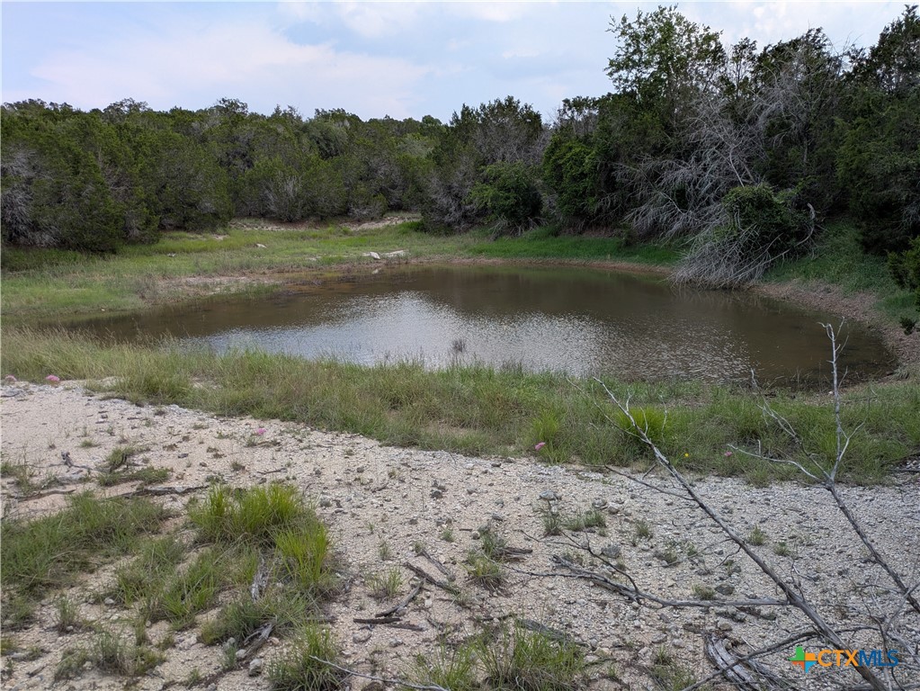 3 County Road 4390 Kempner, TX 76539 - Photo 4 of 9 a view of a lake from a yard