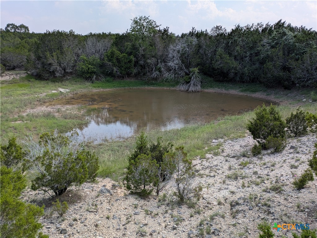 3 County Road 4390 Kempner, TX 76539 - Photo 5 of 9 a view of a lake with mountain in the background