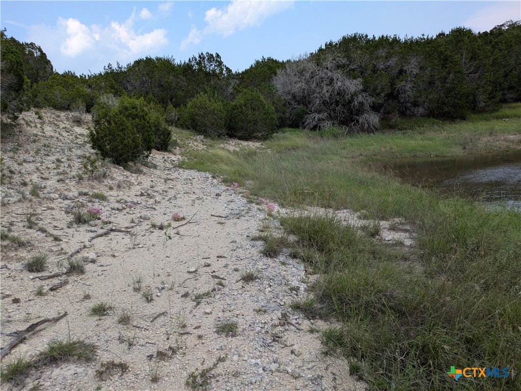 3 County Road 4390 Kempner, TX 76539 - Photo 7 of 9 a big yard with lots of green space