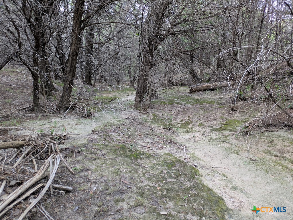 3 County Road 4390 Kempner, TX 76539 - Photo 9 of 9 a view of backyard with green space