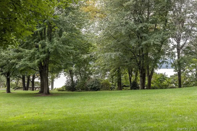 a view of a yard with a tree
