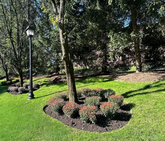 a view of a garden with plants