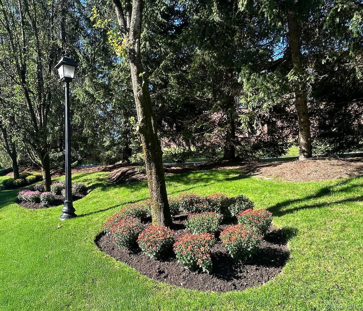 66 Landing Drive Dobbs Ferry, NY 10522 - Photo 33 of 44 a view of a garden with a tree