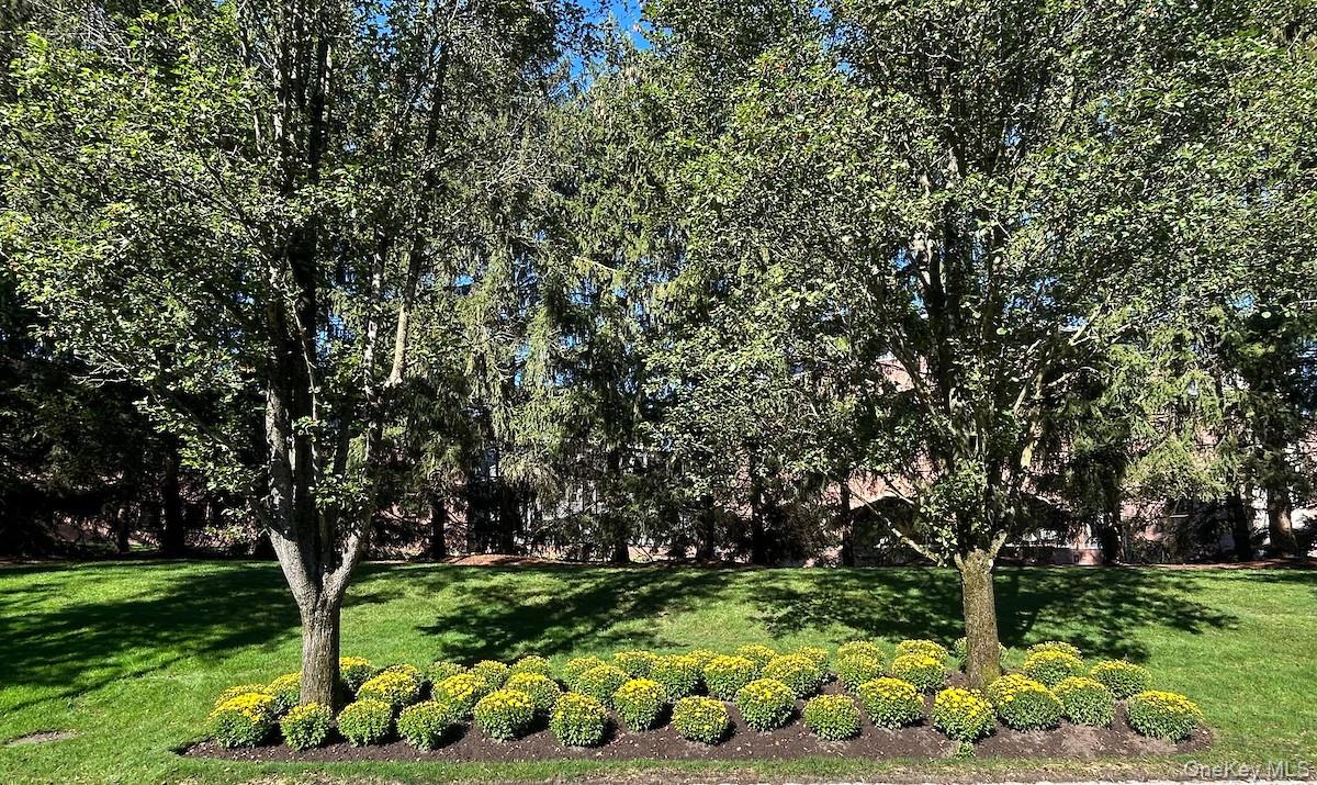 66 Landing Drive Dobbs Ferry, NY 10522 - Photo 34 of 44 a view of a garden with plants
