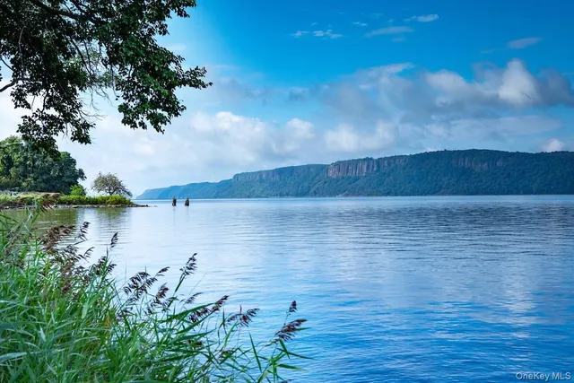 a view of a yard with a trees