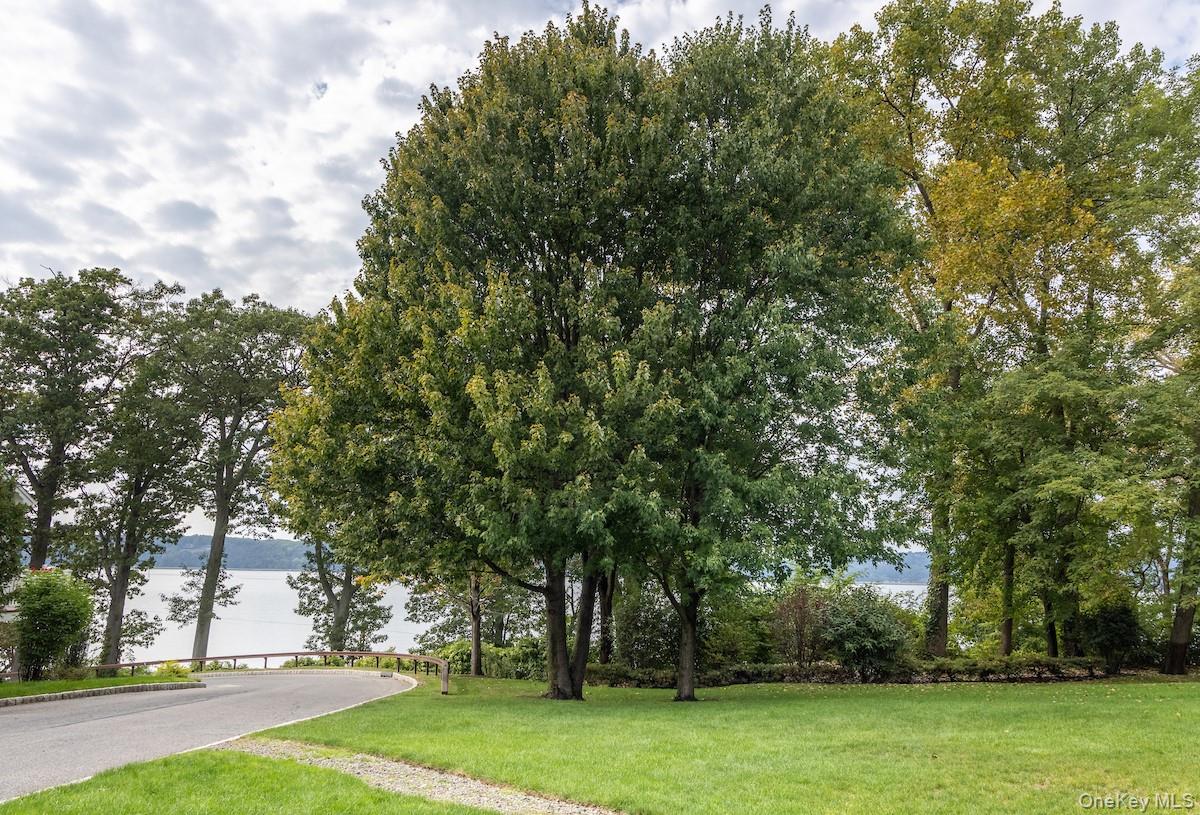 66 Landing Drive Dobbs Ferry, NY 10522 - Photo 43 of 44 a view of a yard with a trees