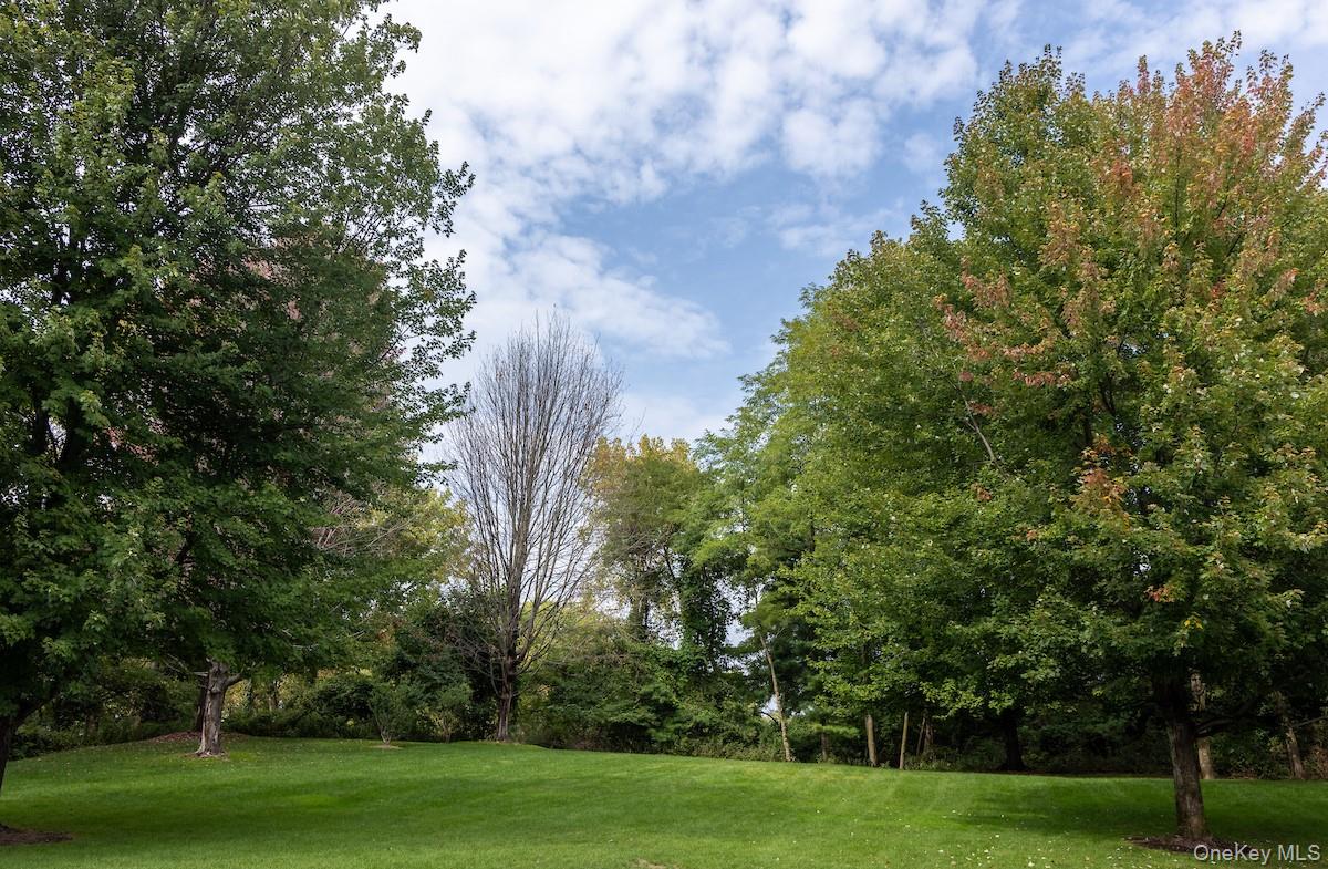 66 Landing Drive Dobbs Ferry, NY 10522 - Photo 5 of 44 a view of a park with trees in the background