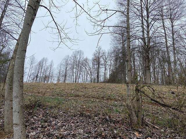 2028 West Donta Road Ashland, KY 41102 - Photo 9 of 18 Gallery Image 9