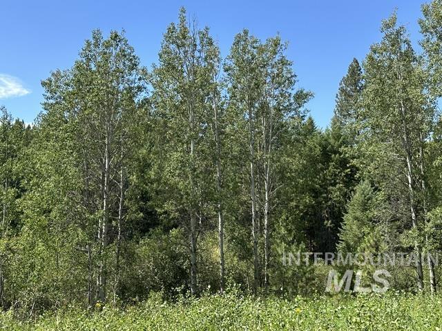 0 Parkins Road Troy, ID 83871 - Photo 5 of 33