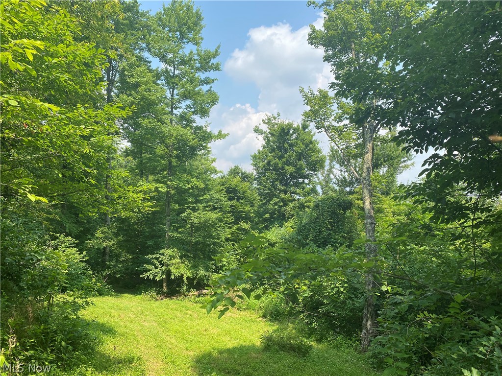 9401 Bell Run Road Adamsville, OH 43802 - Photo 3 of 27 Gallery Image 3