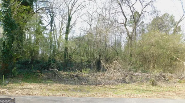 a view of a yard with trees