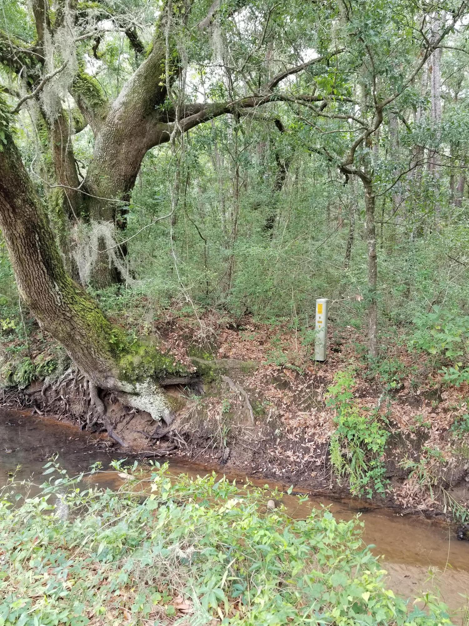 330 Society Road McClellanville, SC 29458 - Photo 1 of 11 an more and more