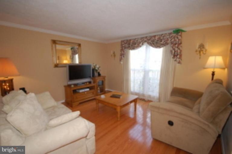 805 Cattail Lane Northeast Leesburg, VA 20176 - Photo 3 of 23 Living Room #2