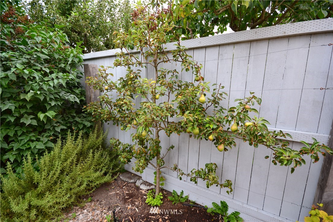 8335 23rd Avenue Northwest Seattle, WA 98117 - Photo 20 of 23