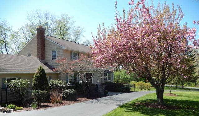 46 Powder Horn Drive Ridgefield, CT 06877 - Photo 1 of 1 a front view of house with yard and green space