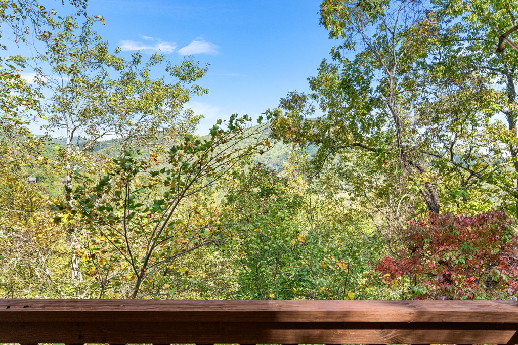 20 Eagle Heights Road Hiawassee, GA 30546 - Photo 29 of 42